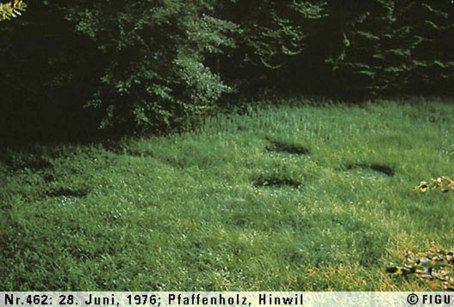 1976年06月28日_P0462#_拍摄于：Pfaffenholz, Hinwil_Semjase所驾光船的着陆痕迹