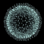 关于冠状病毒的新消息，以及（需要）理性考虑哪些事